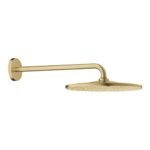 Lietaus dušo galva GROHE Rainshower Mono 310 su 42,2 cm sieniniu laikikliu - Image 3